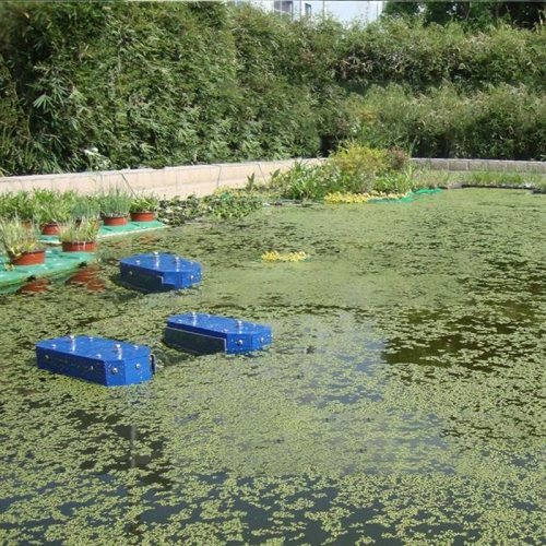 蓝藻应急治理有必要吗?