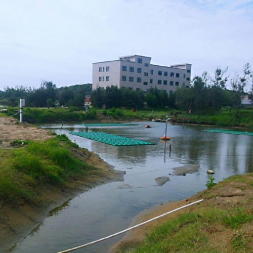 氧化塘增容净化装置