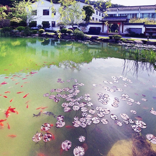 潜水生态净化墙