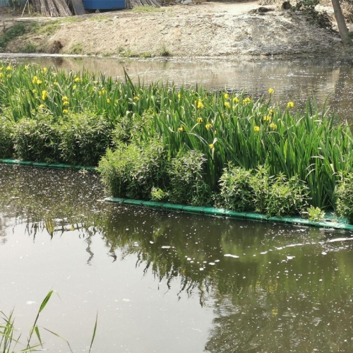 丛生型生态浮岛