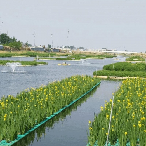 丛生型生态浮岛