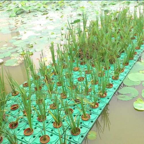 抗风浪型生态浮岛