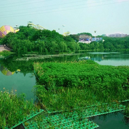 抗风浪型生态浮岛